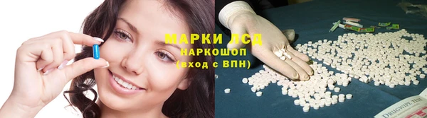 бошки Аркадак