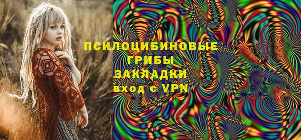винт Арсеньев