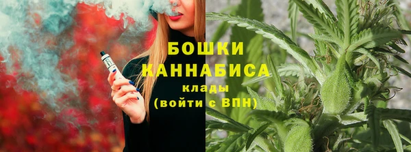 винт Арсеньев